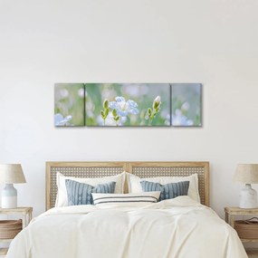 Obraz - Delikatne kwiaty (170x50 cm)