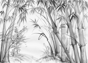 Obraz na szkle - Las bambusowy (70x50 cm)