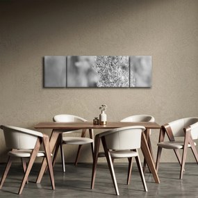 Obraz - Trawa pampasowa Boho (170x50 cm)