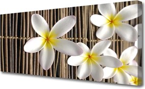 Obraz na płótnie Barwny Ogród na Płótnie