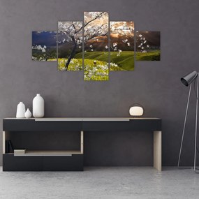 Obraz - Kwitnące drzewo w krajobrazie (125x70 cm)