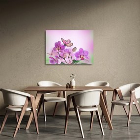 Obraz na szkle - Motyl na kwiatach orchidei, liliowy (70x50 cm)