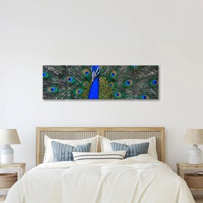 Obraz - Paw (170x50 cm)