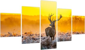 Obraz - Jeleń o wschodzie słońca (125x70 cm)