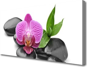Obraz na płótnie Symbol Spokoju: Kamienie i Kwiat