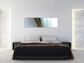 Obraz - Pióra, makro (170x50 cm)