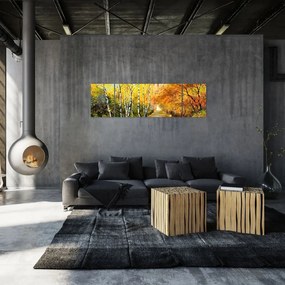Obraz - Romantyczna aleja wzdłuż wody, obraz olejny (170x50 cm)
