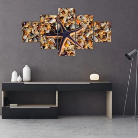 Obraz rozgwiazdy (125x70 cm)