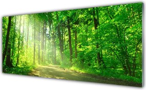 Szkło do Kuchni na Ścianę Ścieżka W Głębi Lasu