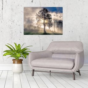 Obraz na szkle - drzewo we mgle (70x50 cm)