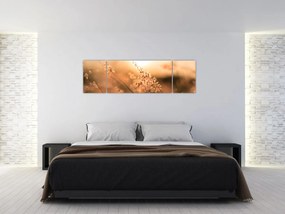 Obraz - Trawa  na słońcu (170x50 cm)