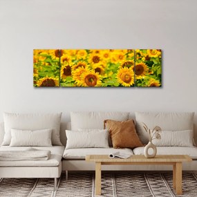 Obraz - Słoneczniki (170x50 cm)