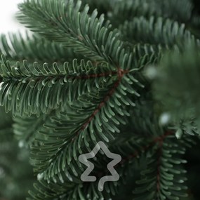 Świerk Oregon ekstra gęsty 180 cm