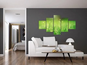 Obraz - rosa na trawie (125x70 cm)