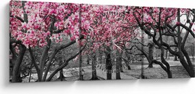 Obraz drzew magnolii (z zegarem) (90x30 cm)