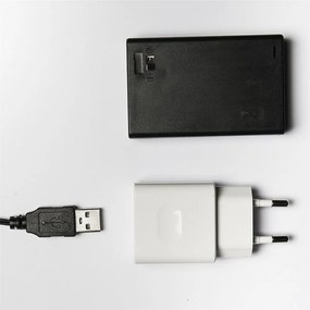 Łańcuch świetlny Astra LED mini Szyszka kolorowy, 20 żarówek