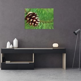 Obraz na szkle - szyszki (70x50 cm)
