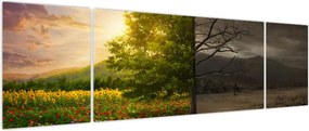 Obraz - Cykl życia (170x50 cm)