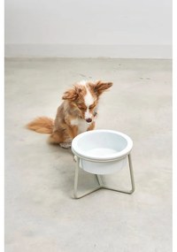 Porcelanowa miska ze stojakiem dla psów ø 20 cm Pranzo Greige M – MiaCara