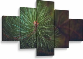 Obraz - Detal sosny (125x70 cm)