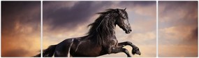 Obraz - Konie (170x50 cm)