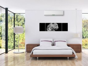 Obraz - Lampart (170x50 cm)