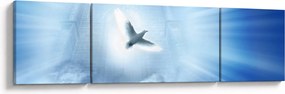 Obraz - Boska gołębica (170x50 cm)