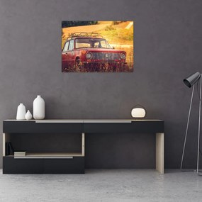 Obraz na szkle - samochód na polu (70x50 cm)