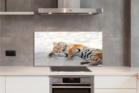 Szklany Panel Zimowy Portret Tygrysa