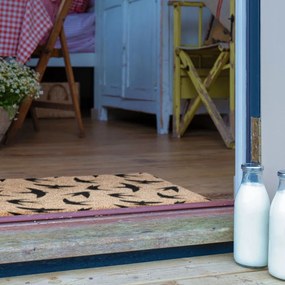 Wycieraczka z włókna kokosowego 40x60 cm Swallows – Artsy Doormats