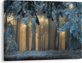 Obraz zaśnieżonego lasu (70x50 cm)