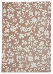 Jasnobrązowy dywan 80x150 cm Grace Floral – Catherine Lansfield