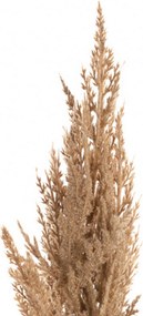 Gałązka Trawy Pampasowej 90cm beige