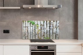 Panel szklany do Kuchni Zielone Liście Brzozy
