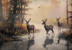 Fototapeta - Jeleń II. (196x136 cm)