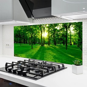 Szkło do Kuchni na Ścianę Parkowe Alejki W Słońcu