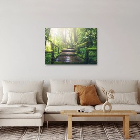 Obraz - drewniane schody w lesie (70x50 cm)