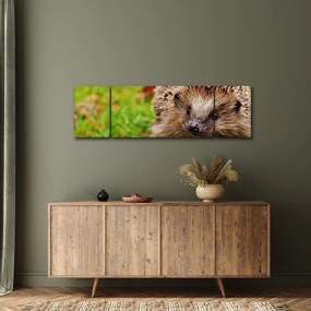 Obraz jeża (170x50 cm)