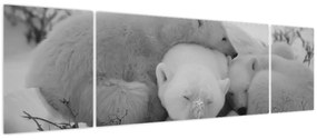 Obraz - Niedźwiadki polarne, czarno - biały (170x50 cm)