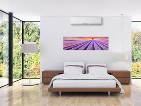 Obraz - farma kwiatów (170x50 cm)