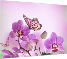 Obraz - Motyl na kwiatach orchidei, liliowy (70x50 cm)