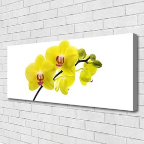 Obraz canvas Wyrafinowana Flora Ogrodowa