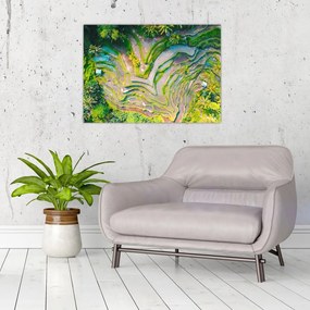 Obraz na szkle pól ryżowych z lotu ptaka (70x50 cm)