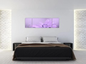 Obraz - Fioletowy kwiat (170x50 cm)