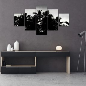 Obraz czarno - biały - palmy (125x70 cm)