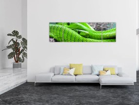 Obraz zielonych węży (170x50 cm)