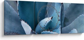 Obraz - Agawa (z zegarem) (90x30 cm)