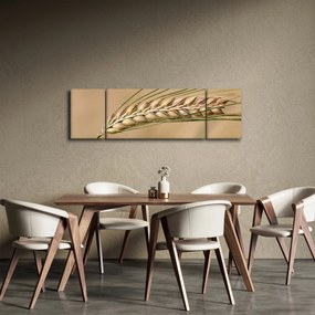 Obraz - Pszenica (170x50 cm)