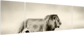 Obraz - Głodny lew (170x50 cm)