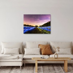 Obraz kolorowego pola (70x50 cm)
